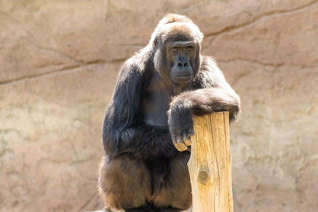 24-Jähriger attackiert Sanitäter auf Krefelder Luisenplatz