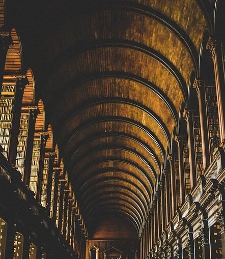 Dublin: 23-Jähriger stirbt nach Messerangriff in Ballyfermot – Polizei nimmt Verdächtigen fest