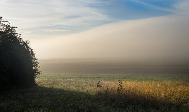 Ermittlungen nach Tod von Rob Reiner und Frau: Sohn Nick Reiner unter Verdacht