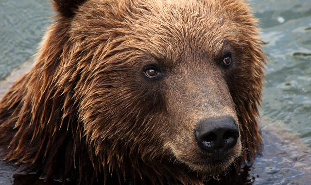 Schwerer Busunfall in Gelsenkirchen-Bulmke: Mehrere Personen verletzt