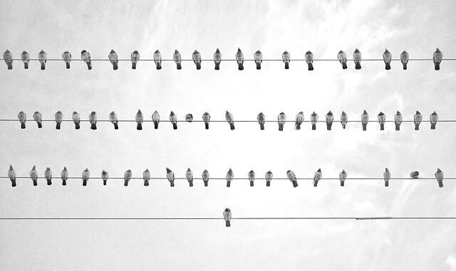 Südafrika: Eskom-Chef Dan Marokane tritt nach nur neun Monaten im Amt zurück