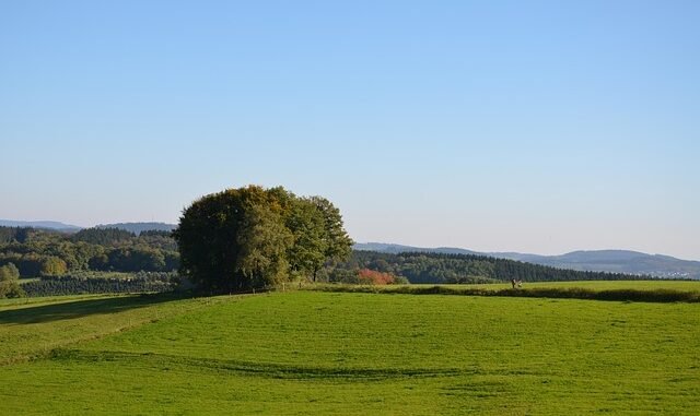 Südwestfalen trauert um [Name des Verstorbenen]: Ein Leben für die Region