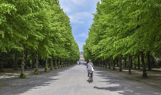 Wirtschaftliche Entwicklungen am Niederrhein: Innovation im Gesundheitswesen und Wandel in Düsseldorfs Modebranche