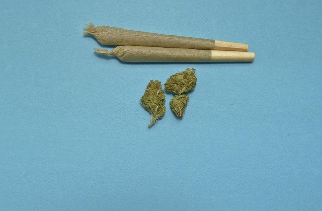 11 Tonnen Marihuana in Schiffscontainern - Polizei nimmt internationalen Drogenschmuggler fest