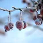 Aktuell: Glatteis-Massenkarambolage auf der A 44