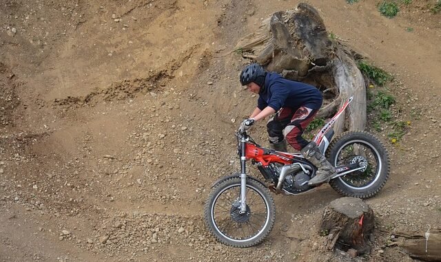 Annemarie Carpendale sagt im Prozess Pocher gegen Düren aus