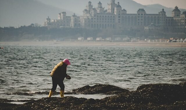 Arbeitsmarkt 2025: Leichter Rückgang der Erwerbstätigenzahl