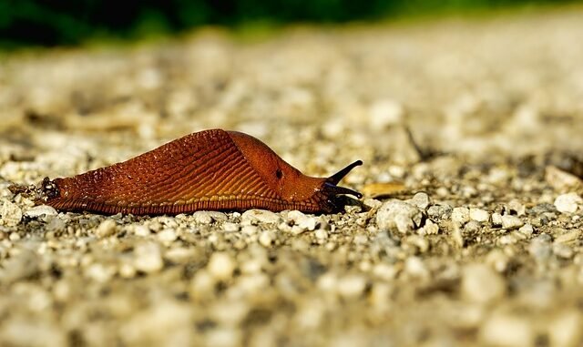 Bergisches Land: Dynamische Wirtschaft, Veranstaltungspläne in Gummersbach und vielfältige Natur