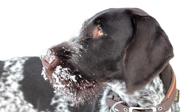 Bergisches Land: Konjunktursorgen und Lichtblicke trotz winterlicher Herausforderungen