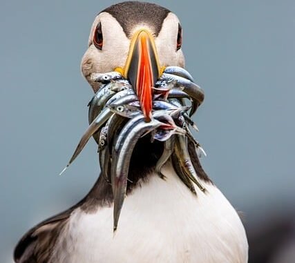 Crash Kurs NRW in Ratingen: Jugendliche konfrontiert mit harten Unfallfolgen