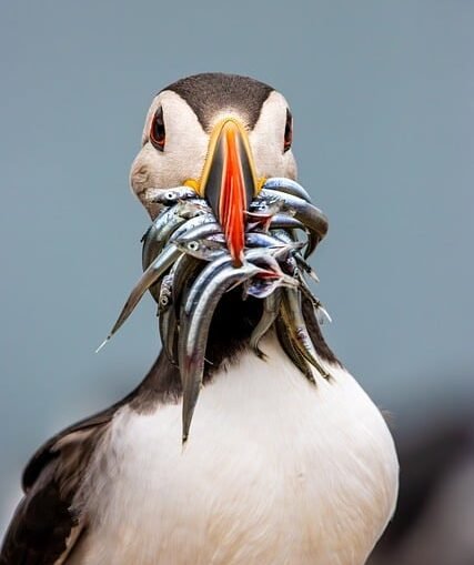 Crash Kurs NRW in Ratingen: Jugendliche konfrontiert mit harten Unfallfolgen