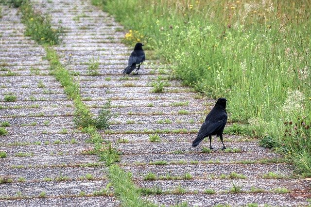 Die Mordserie des Kurt-Friedhelm Steinwegs: "Das Monster vom Niederrhein" terrorisierte die 1970er und 80er Jahre