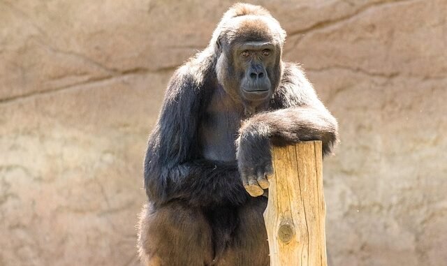 Düsseldorf: Wirtschaftskraft durch Mode, Krefeld: Vogelgrippe im Zoo