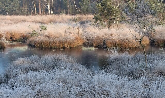Eis und Schnee sorgen für über 30 Unfälle im Kreis Wesel