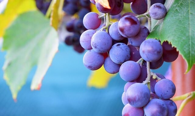 Gehälter steigen, Lebenskosten auch: 2026 wird teurer