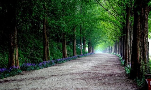 Gil Ofarims Dschungelcamp-Teilnahme 2026 durch Einreisebedenken gefährdet