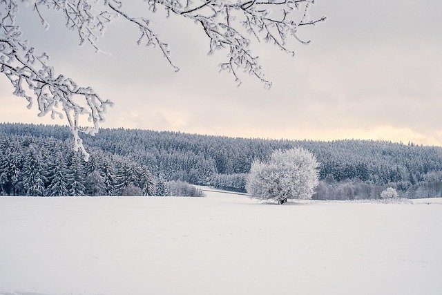 Glatteis und Wintersturm: Unterrichtsausfall in NRW, Niedersachsen und Bahnprobleme