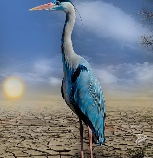 Haushaltsdebatte 2026 und Klimaziele im NRW-Landtag im Fokus