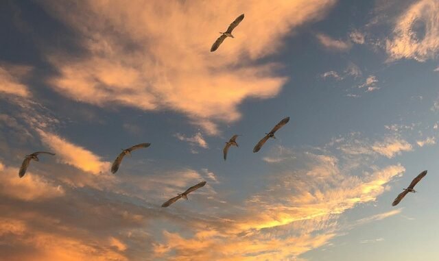 Kommunen am Limit: Migration verschärft Wohnungsnot und Diskriminierung