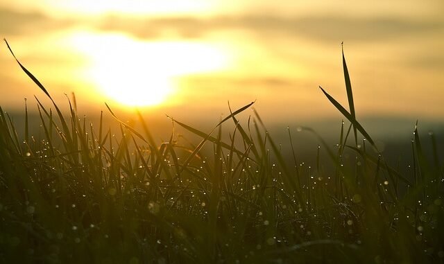 Lokale Nachrichten aus Südwestfalen: Windenergie, Trauer in Lüdenscheid, Merz zu Europa