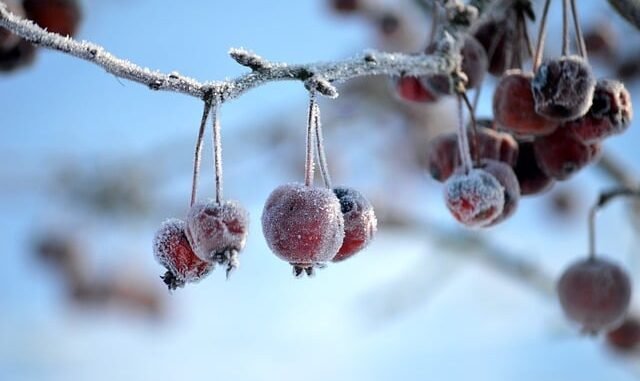 Massenkarambolage bei Glatteis auf der A44: Drei Tote und elf Verletzte