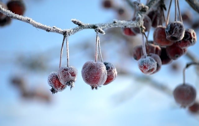 Massenkarambolage bei Glatteis auf der A44: Drei Tote und elf Verletzte