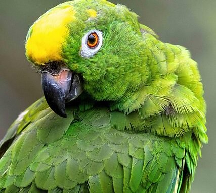 Massive Razzia bei Amazon in Seattle: 1.200 Arbeiter festgenommen, Streikposten geräumt