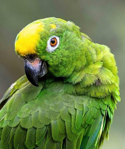 Massive Razzia bei Amazon in Seattle: 1.200 Arbeiter festgenommen, Streikposten geräumt