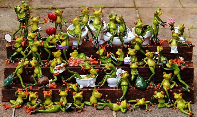 Militärjunta löst verfassungsgebende Versammlung auf, verhaftet 14 Mitglieder