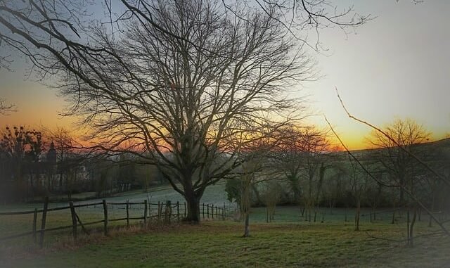 Neue Landschaftsversammlung Rheinland konstituiert sich