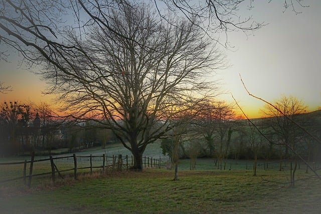 Neue Landschaftsversammlung Rheinland konstituiert sich