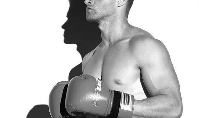 Neugebauer Sportler des Jahres, Futsal-Doppelsieg, Bayern dominiert Bundesliga