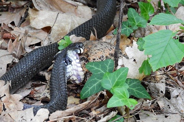 Opferbeauftragte des Landes besucht Geschädigte nach spektakulärem Sparkassen-Einbruch