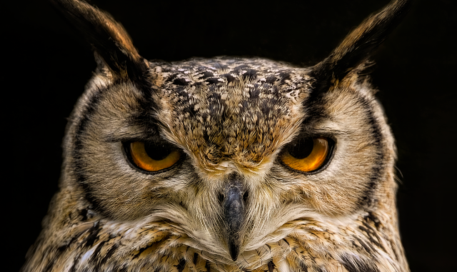 OWL-Update: Regionale Produkte auf der Grünen Woche, Drohanruf in Paderborn, Polizeieinsatz in Gütersloh