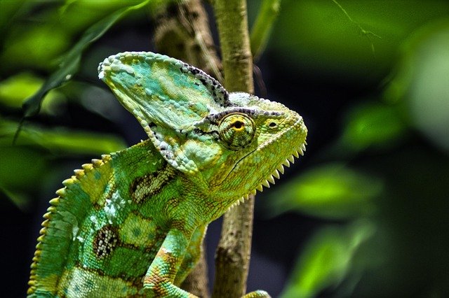 Raub in Bochumer Innenstadt: Polizei sucht dringend Zeugen