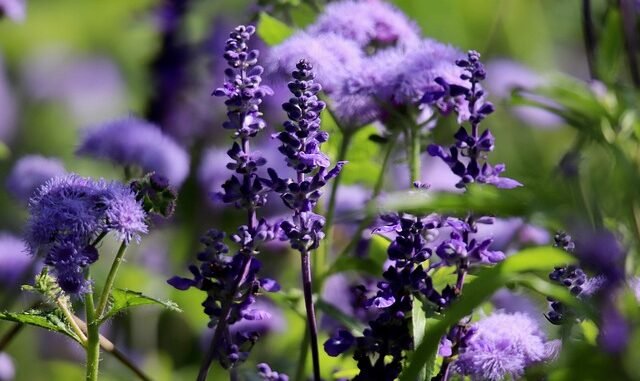 Silvia Morawetz mit Rebekka-Preis geehrt, Leipziger Buchmesse naht