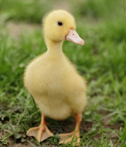 Sorgerechtsstreit Block: Jugendamtsmitarbeiterinnen sagen im Entführungsprozess aus