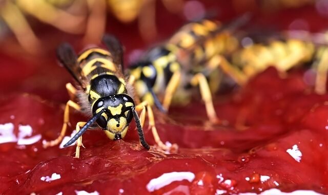Stauchaos im Ruhrgebiet: Pendler leiden unter Verkehrsbelastung auf A40, A42, A2 und A45