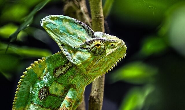 Unfallflüchtiger in Bochum festgenommen: Unter Drogen, alkoholisiert und mit Haftbefehl unterwegs