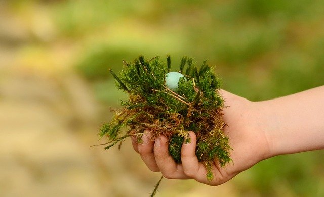 Vermisste 12-Jährige wohlbehalten wieder aufgetaucht